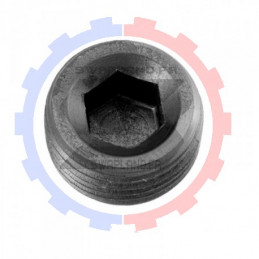 Bouchon sans tête 1/2’’ NPT