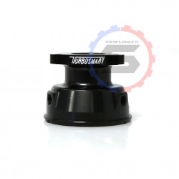 Capsule Wastegate...