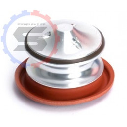 Piston de dump valve...