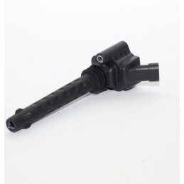 Bosch P65 Coil