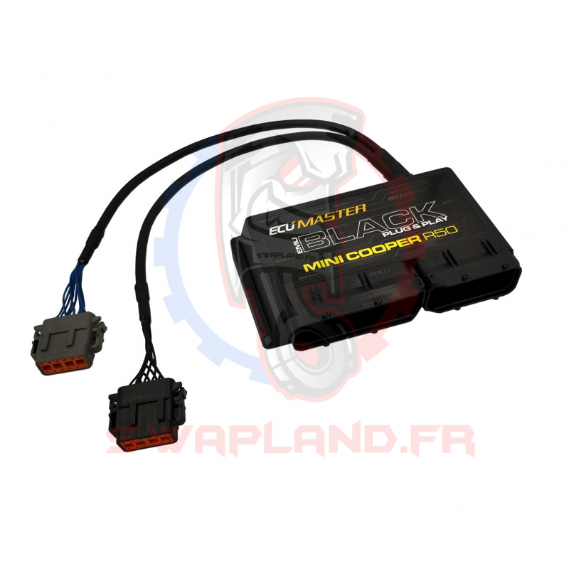 Gestion Black plug and play Mini Cooper r50