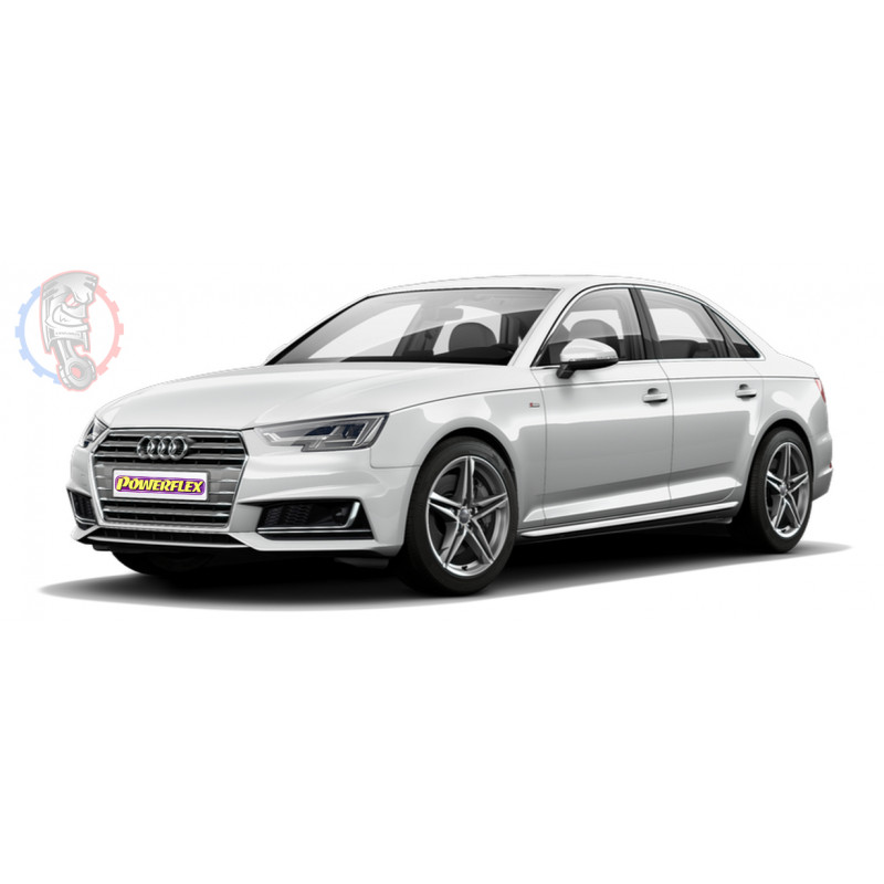 Audi A4 / S4 B9 (2016 - ON)