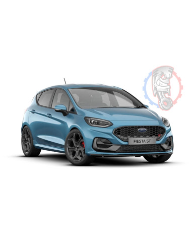 https://www.swapland.fr/48988-large_default/silent-bloc-renforce-ford-fiesta-mk85-st-200-facelift-2021-on.jpg