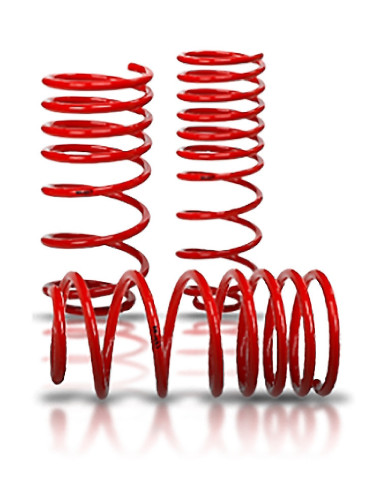 VOLKSWAGEN JETTA III/WAGON (1KM) 04 - 5.13 (Ø55mm Front shocks) 