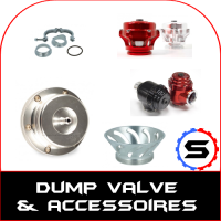 Dump valve and exhaust elbow on swapland
