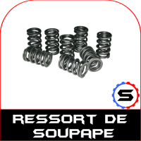 Valve spring catcams