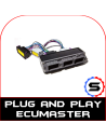 Adaptateur Ecumaster plug and play